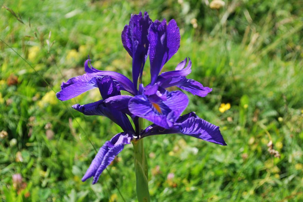 Gite Cap De La Hont Laruns Luaran gambar