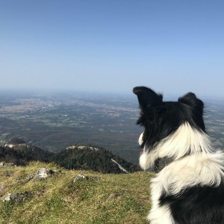 Gite Cap De La Hont Laruns Luaran gambar